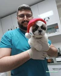Bartın Anka Veteriner Kliniği Bartın Anka Veteriner Kliniği