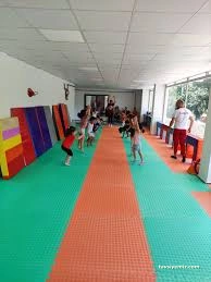 Bartın Cimnastik Hocam Bartın Cimnastik Hocam