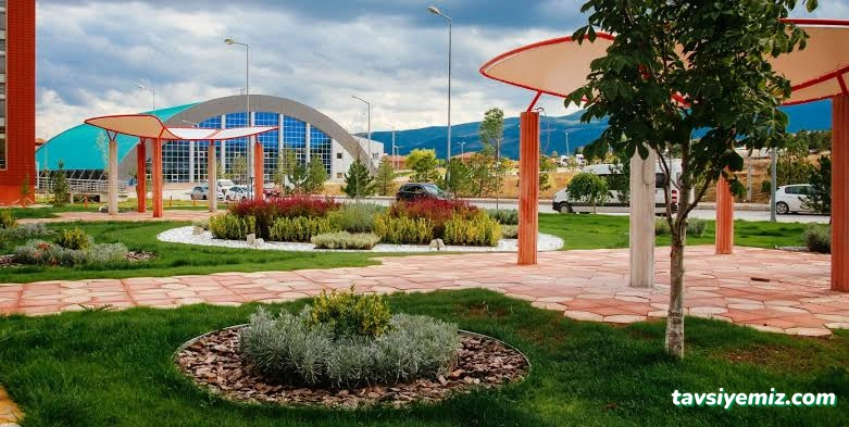 Bartın Peyzaj
