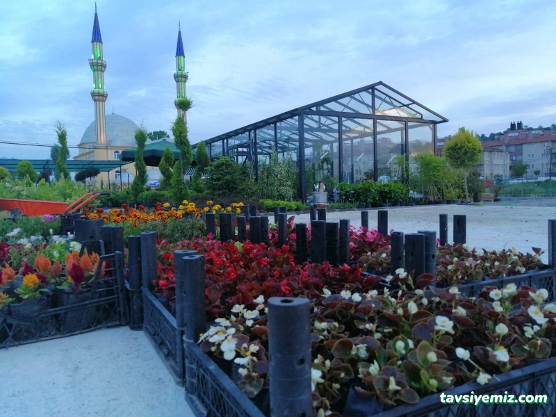 Bartın Peyzaj