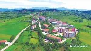 Bartın Üniversitesi Bartın Üniversitesi