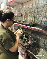 Başaran Petshop Başaran Petshop
