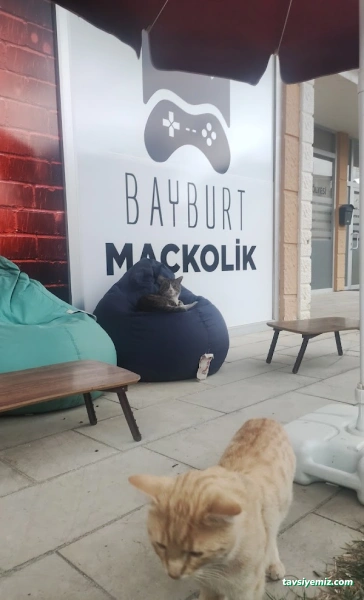 Bayburt Maçkolik Playstation Bayburt Maçkolik Playstation