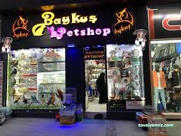 Baykuş Petshop Baykuş Petshop