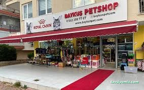 Baykuş Petshop Baykuş Petshop