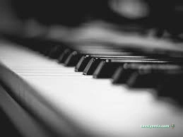 Bayram Müzik Evi Bayram Müzik Evi