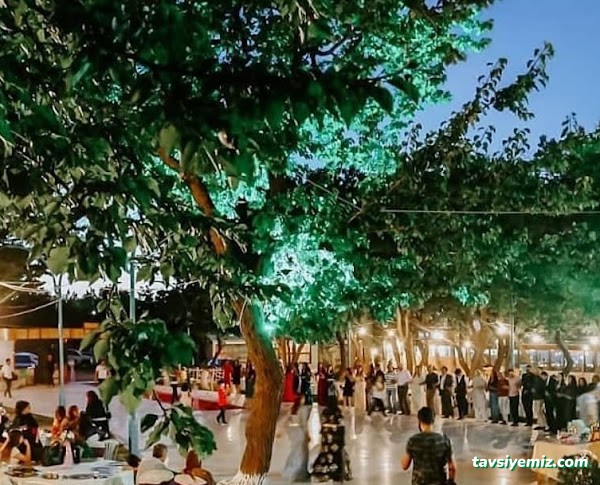 Çam Kır Düğünü & Restaurant Çam Kır Düğünü & Restaurant