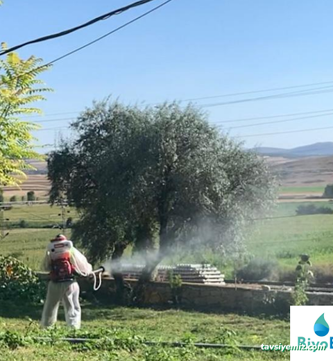 Biyoes İlaçlama Dezenfeksiyon Biyoes İlaçlama Dezenfeksiyon