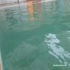 Belkızana Kaplıcaları Ahmet Kaya Oteli Belkızana Kaplıcaları Ahmet Kaya Oteli