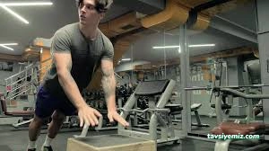 Best Of Fitness Best Of Fitness