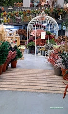 Beyazlale Çiçekçilik Çiçek Market Beyazlale Çiçekçilik Çiçek Market