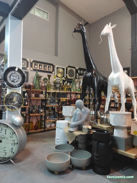 Beyazlale Çiçekçilik Çiçek Market Beyazlale Çiçekçilik Çiçek Market