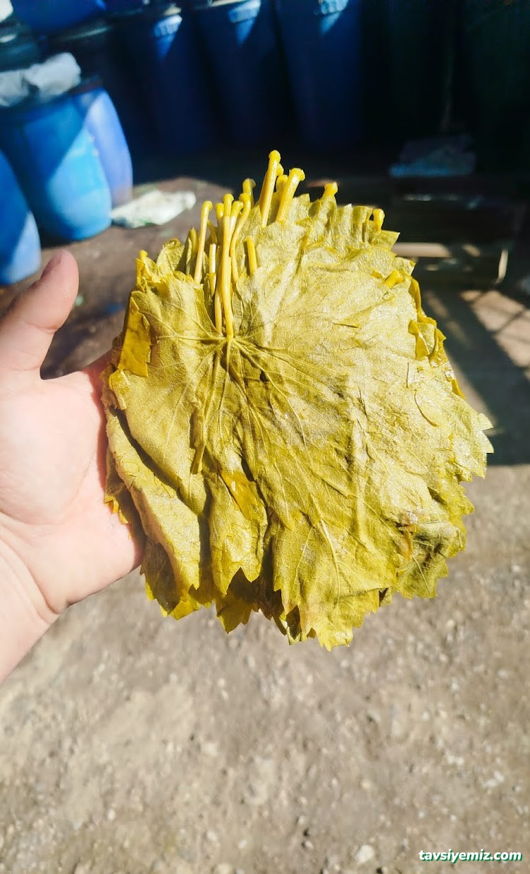 Sefa Halk Pazarı Arap Vurgun Sefa Halk Pazarı Arap Vurgun