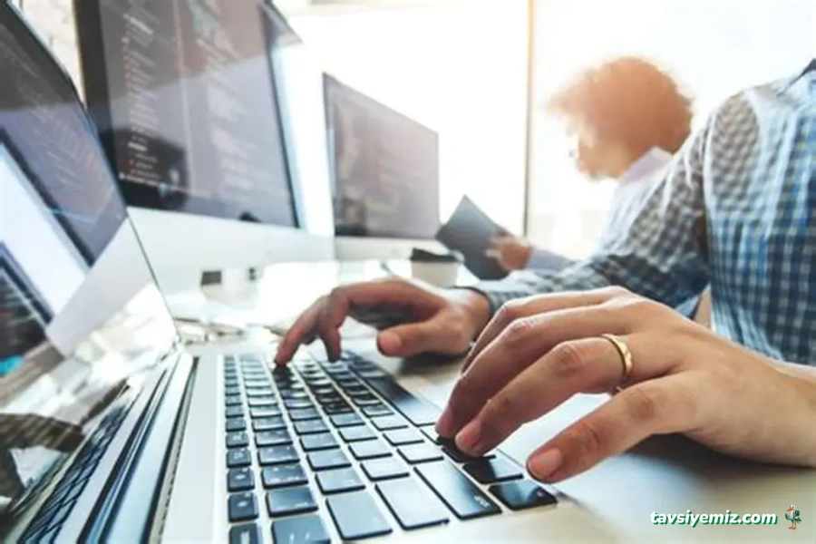 Bil-San Yazılım Sistemleri (Dolphin Software)