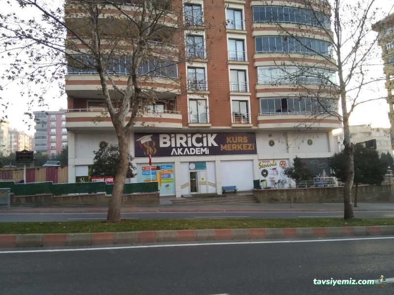 Biricik Akademi Biricik Akademi