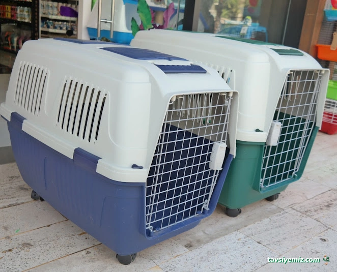 Bizim City Petshop