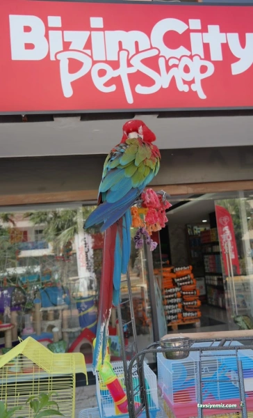 Bizim City Petshop