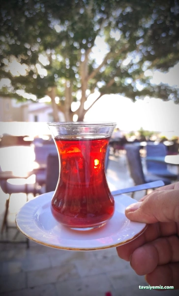 Bizim Ora Çay Bahçesi Bizim Ora Çay Bahçesi