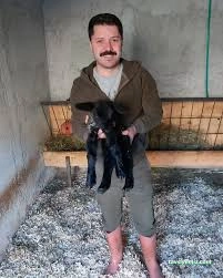 Bizim Veteriner Polikliniği Bizim Veteriner Polikliniği