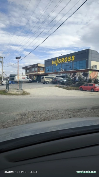 Bol Gross Bol Gross