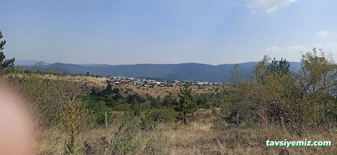 Bolu Belgesel Bolu Belgesel