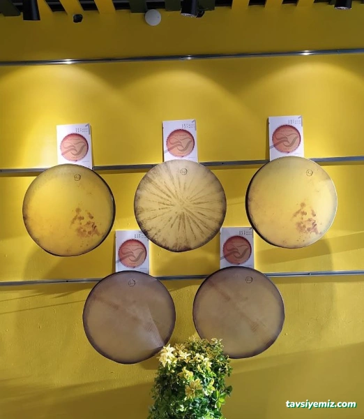 Bona Sanat Akademi Bona Sanat Akademi