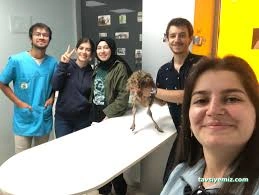 Bulvar Veteriner Kliniği Bulvar Veteriner Kliniği