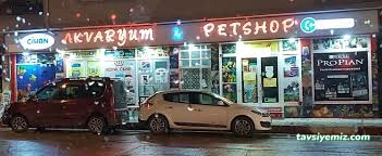 Bursa Cihan Akvaryum & Petshop Bursa Cihan Akvaryum & Petshop
