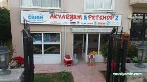 Bursa Cihan Akvaryum & Petshop Bursa Cihan Akvaryum & Petshop