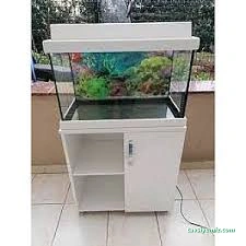Bursa Cihan Akvaryum & Petshop Bursa Cihan Akvaryum & Petshop