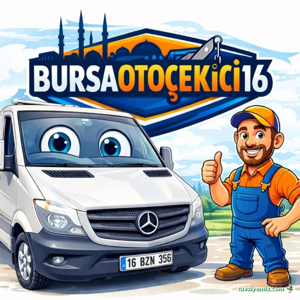 Bursaotocekici16