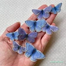 Butterfly Accessories Butterfly Accessories