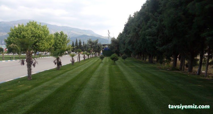 Manisa Olimpik Yüzme Havuzu Manisa Olimpik Yüzme Havuzu