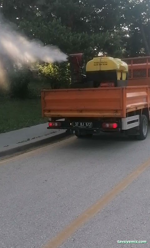 Üçgen Haşere Kontrol Servisi Üçgen Haşere Kontrol Servisi