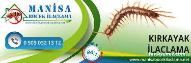 Manisa Böcek İlaçlama Manisa Böcek İlaçlama