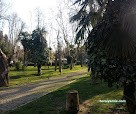 T.c. Osmanağa Mahalle Muhtarlığı