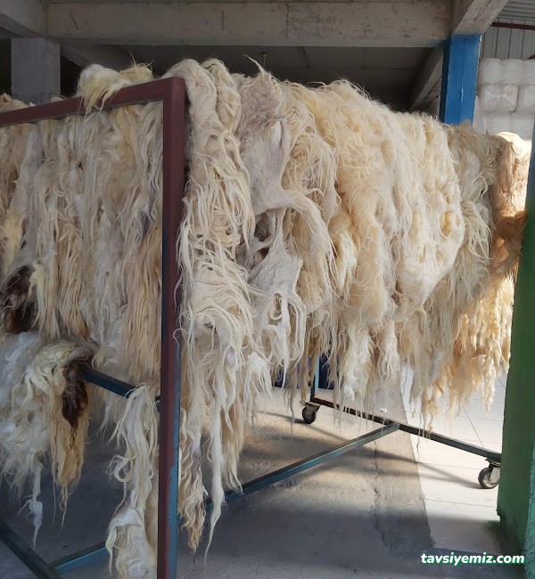 Kahramanmaraş Köpük Halı Yıkama Kahramanmaraş Köpük Halı Yıkama