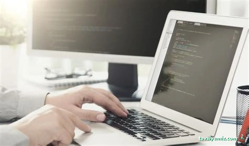 Cactus Software