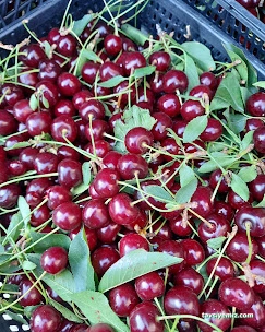 Çağdaş Büfe Çağdaş Büfe