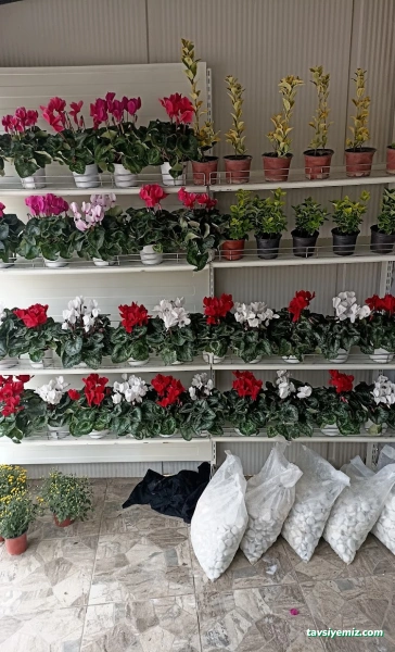 Çağdaş Mermer Mezar,Çeşme,Anıt Tasarım & Uygulama Çağdaş Mermer Mezar,Çeşme,Anıt Tasarım & Uygulama