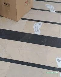 Çağdaş Ortopedi Çağdaş Ortopedi