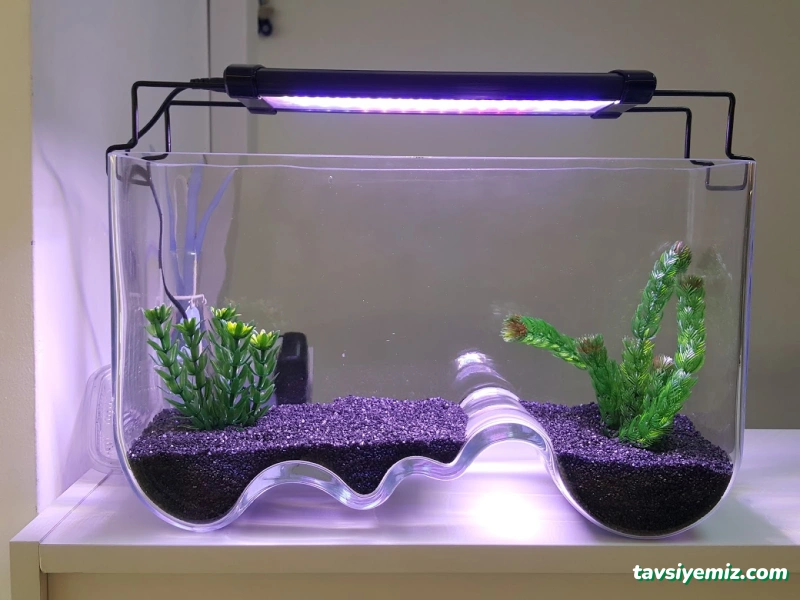 Can Akvaryum Pet Store Pet Kuaför Alo Mama Hattı Can Akvaryum Pet Store Pet Kuaför Alo Mama Hattı