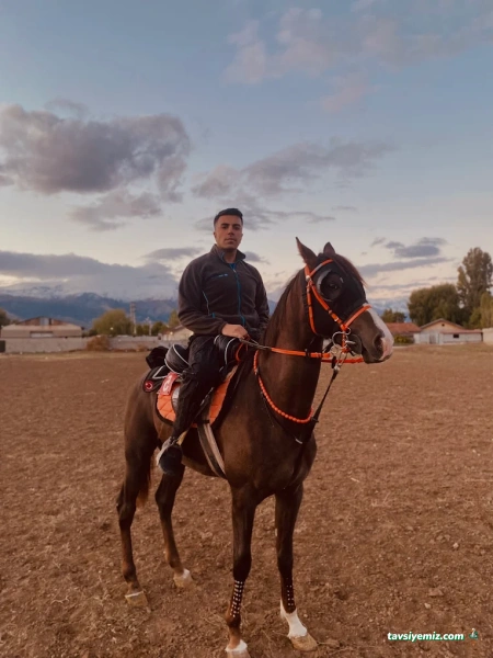 Can Erzincan Atlı Spor Kulübü