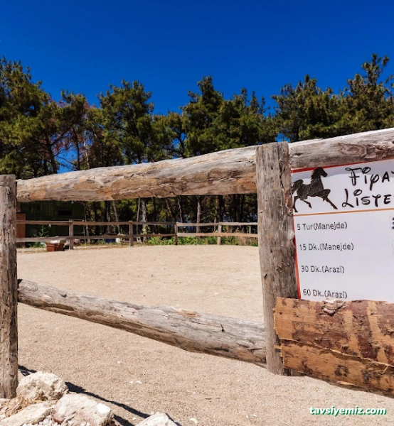 Çanakkale Paintball Park Çamlık Çanakkale Paintball Park Çamlık