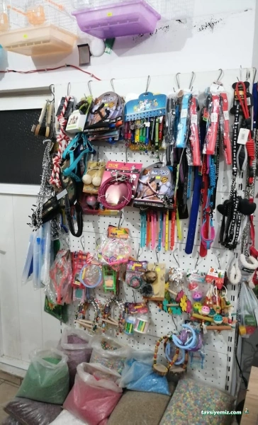Canan Petshop