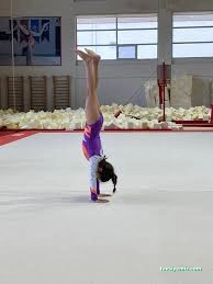 Canik Cimnastik Salonu Canik Cimnastik Salonu