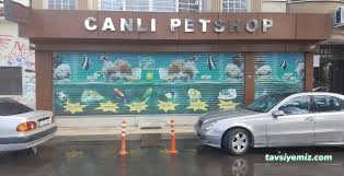 Canlı Petshop Canlı Petshop