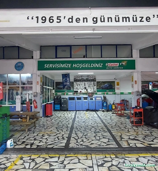 Castrol Auto Service - Oto Çelik Otomotiv Castrol Auto Service - Oto Çelik Otomotiv