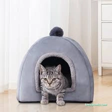 Catdoghouse78 Catdoghouse78