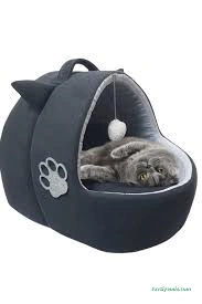 Catdoghouse78 Catdoghouse78
